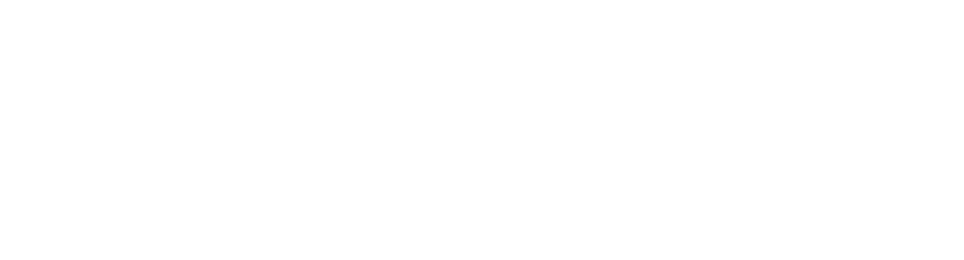 Flying Tiger logo